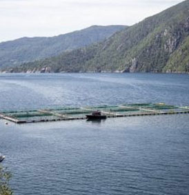 fish farm floating in water in a fjord