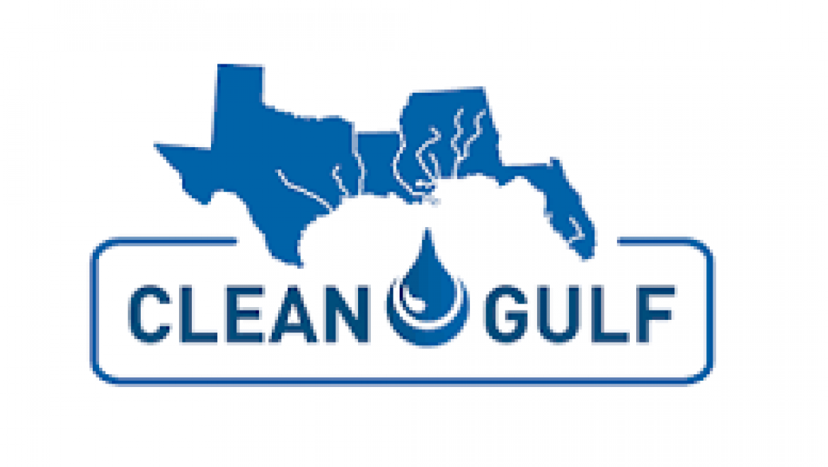 Clean Gulf 2020